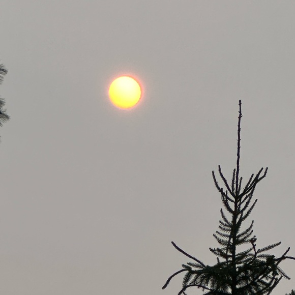 Meet your Posher, Rebekah - Picture 7 of 16